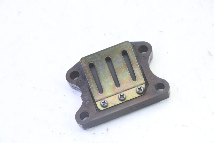 photo de VALVOLA LAMELLARE PEUGEOT ELYSTAR 50 (2002 - 2014) - Vista principale