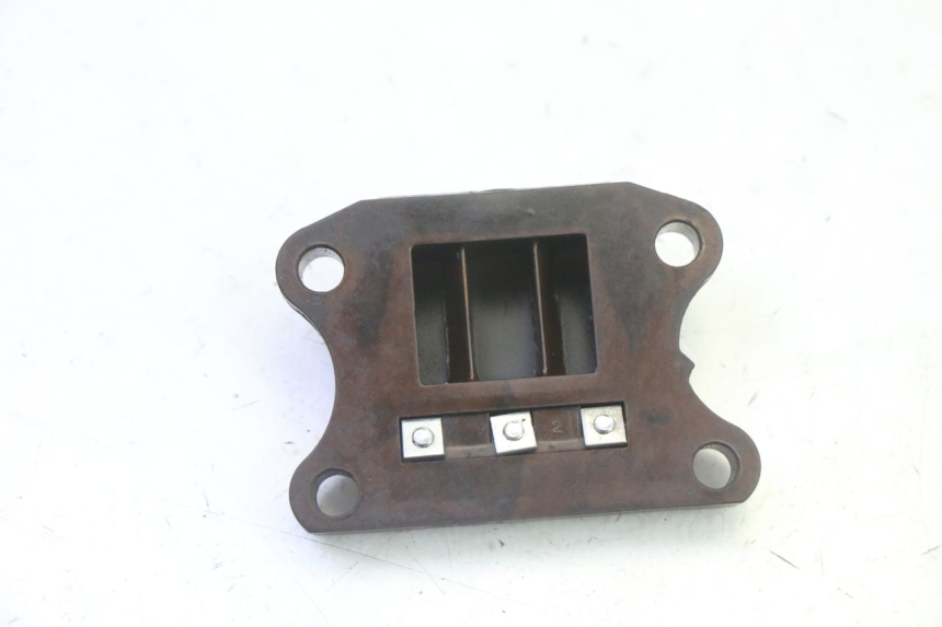 photo de VALVOLA LAMELLARE PEUGEOT ELYSTAR 50 (2002 - 2014) - Zoom sullo stato d'uso