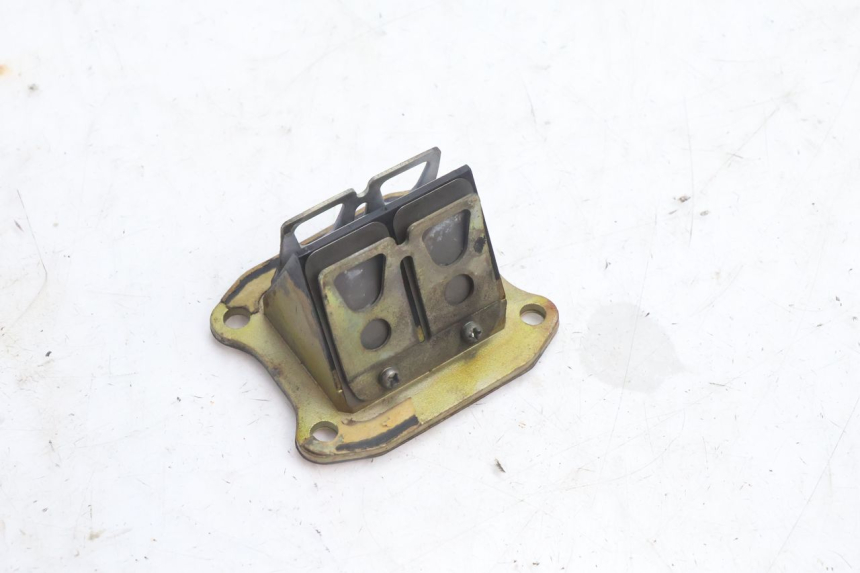 photo de VALVOLA LAMELLARE HONDA FES PANTHEON 2T 125 (1998 - 2002) - Vista principale