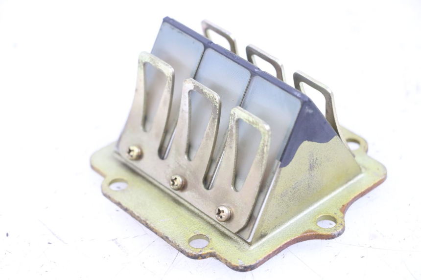 photo de VALVOLA LAMELLARE KAWASAKI KDX 125 (1990 - 1991) - Vista principale