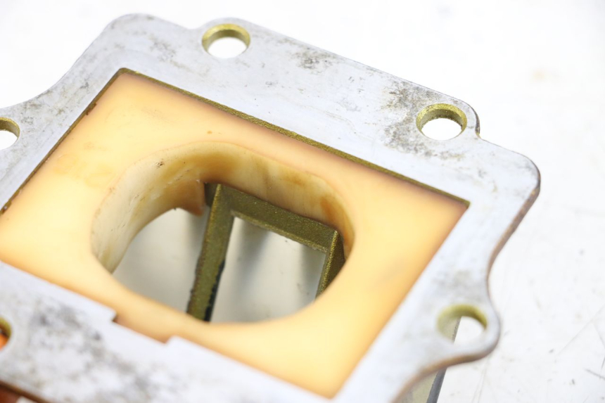 photo de VALVOLA LAMELLARE KAWASAKI KDX 125 (1990 - 1991) - Zoom sullo stato d'uso