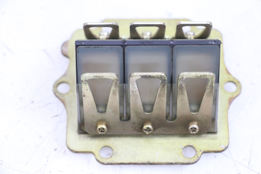 photo de VALVOLA LAMELLARE KAWASAKI KDX 125 (1990 - 1991) - Primo piano tecnico