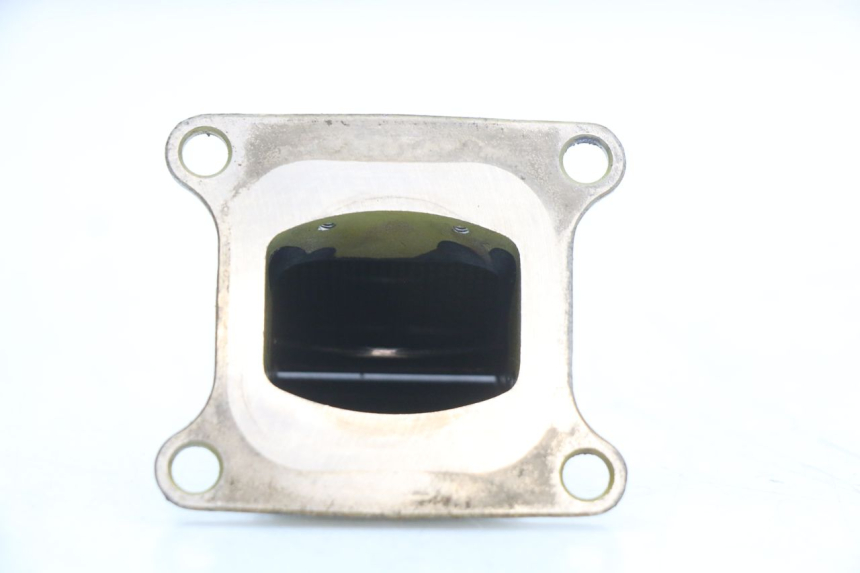 photo de VALVOLA LAMELLARE KAWASAKI KX 85 (2014 - 2021) - Primo piano tecnico