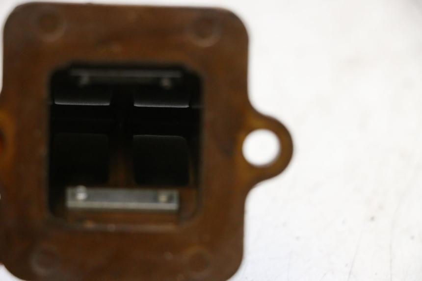 photo de VALVOLA LAMELLARE PEUGEOT LUDIX ONE 50 (2004 - 2013) - Zoom sullo stato d'uso