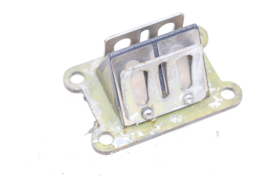 photo de VALVOLA A FARFALLA RIEJU MRT 50 (2009 - 2017) - Vista principale