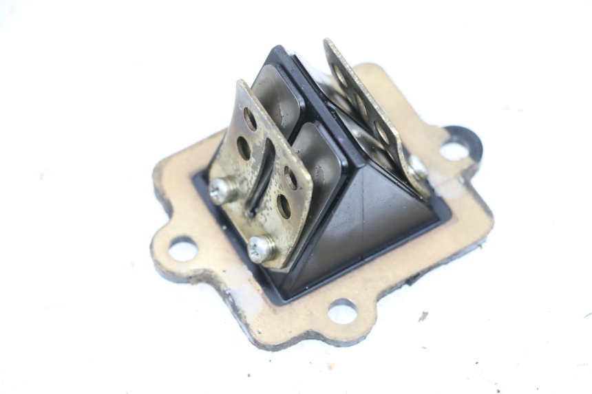 photo de VALVOLA LAMELLARE YAMAHA NEO'S NEOS 2T 50 (1998 - 2007) - Primo piano tecnico