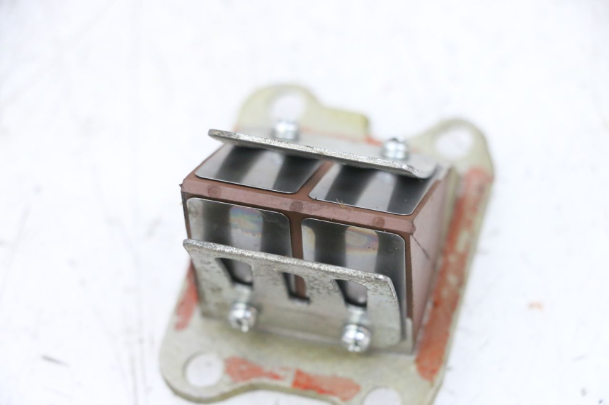 photo de VALVOLA LAMELLARE SYM ORBIT 2 50 (2008 - 2014) - Altra angolazione