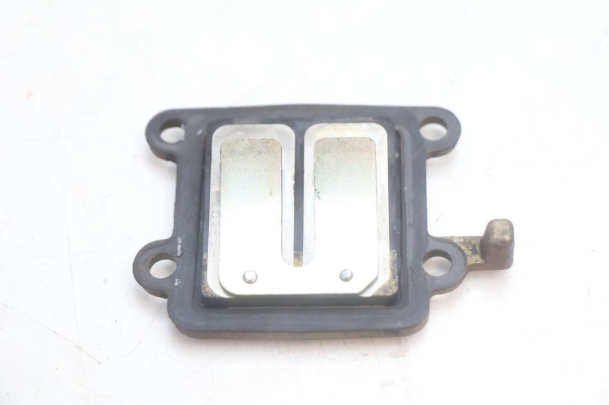 photo de VALVOLA LAMELLARE YAMAHA SLIDER 50 (1999 - 2004) - Dettaglio del componente