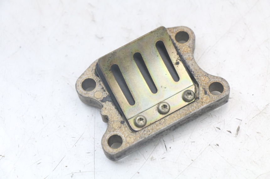 photo de VALVOLA A FARFALLA PEUGEOT SPEEDFIGHT 100 (1997 - 2007) - Vista principale