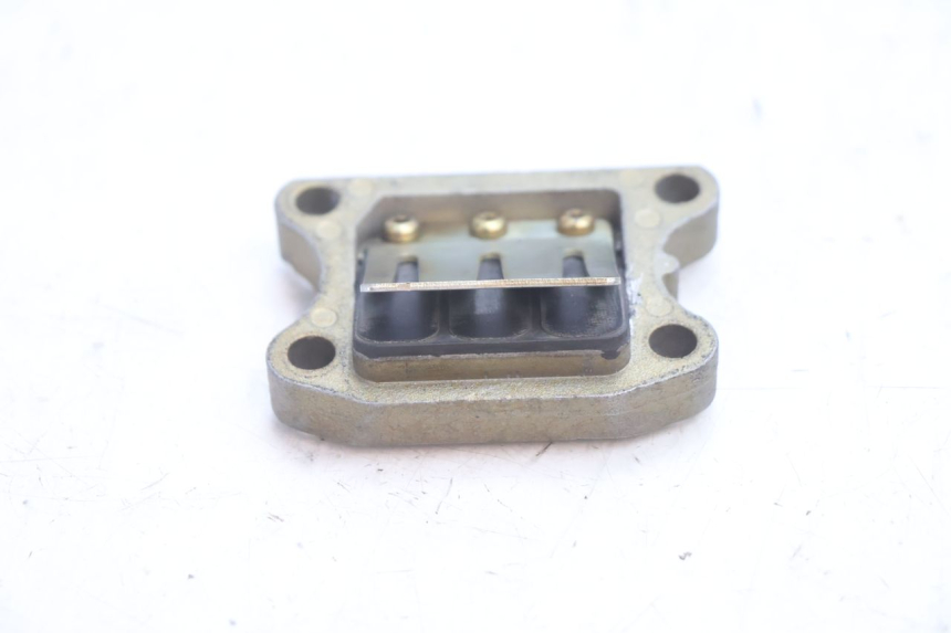 photo de VALVOLA LAMELLARE PEUGEOT TREKKER 50 (1995 - 2004) - Dettaglio del componente