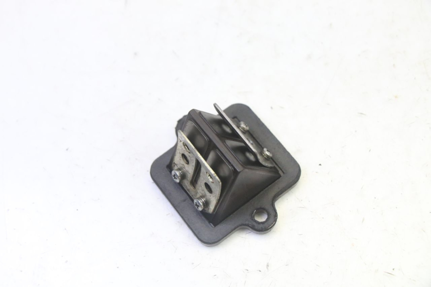 photo de VALVOLA LAMELLARE PEUGEOT VIVACITY NEW 2T 50 (2008 - 2017) - Vista principale