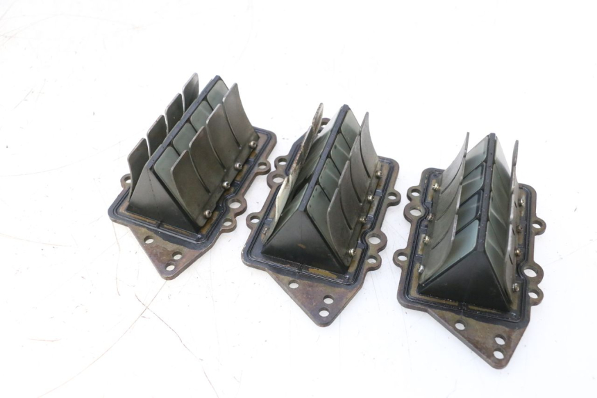 photo de VALVOLA LAMELLARE YAMAHA WAVE RUNNER GP R 1200 (2000 - 2003) - Dettaglio del componente