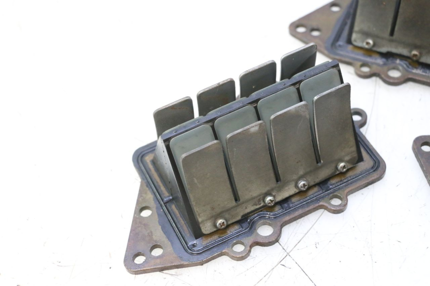 photo de VALVOLA LAMELLARE YAMAHA WAVE RUNNER GP R 1200 (2000 - 2003) - Altra vista dell'articolo