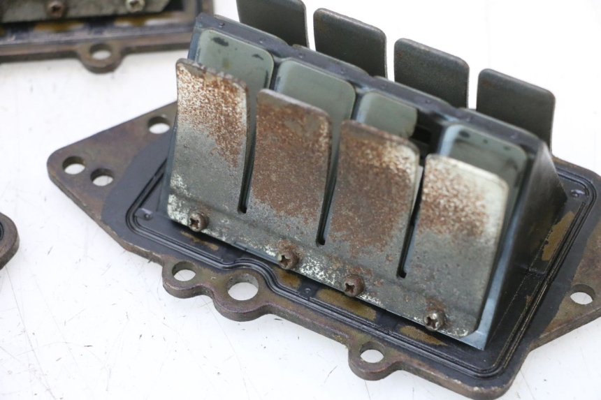 photo de VALVOLA LAMELLARE YAMAHA WAVE RUNNER GP R 1200 (2000 - 2003) - Caratteristiche distintive