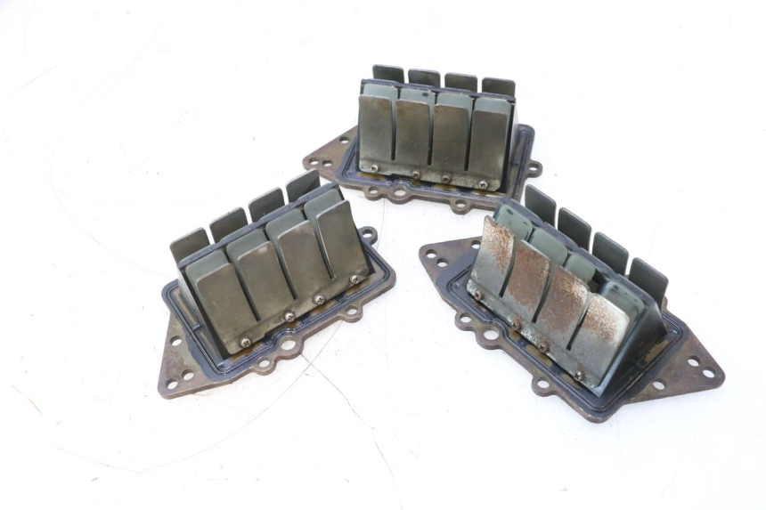 photo de VALVOLA LAMELLARE YAMAHA WAVE RUNNER GP R 1200 (2000 - 2003) - Zoom sui componenti