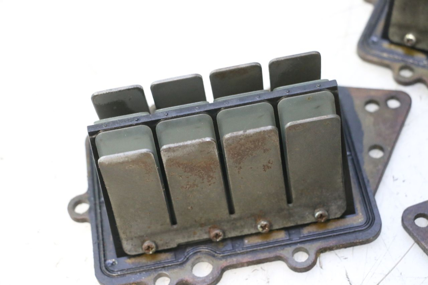 photo de VALVOLA LAMELLARE YAMAHA WAVE RUNNER GP R 1200 (2000 - 2003) - Ispezione visiva dettagliata