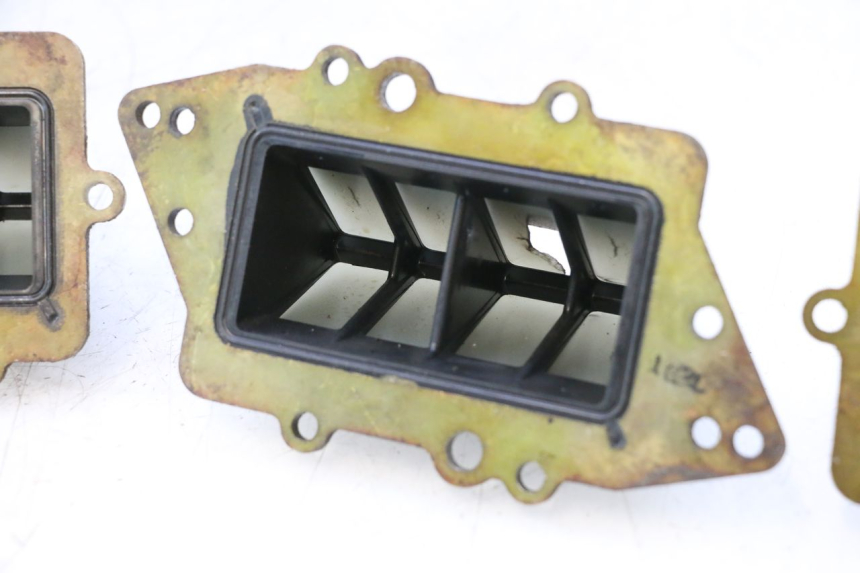 photo de VALVOLA LAMELLARE YAMAHA WAVE RUNNER GP R 1200 (2000 - 2003) - Altra angolazione