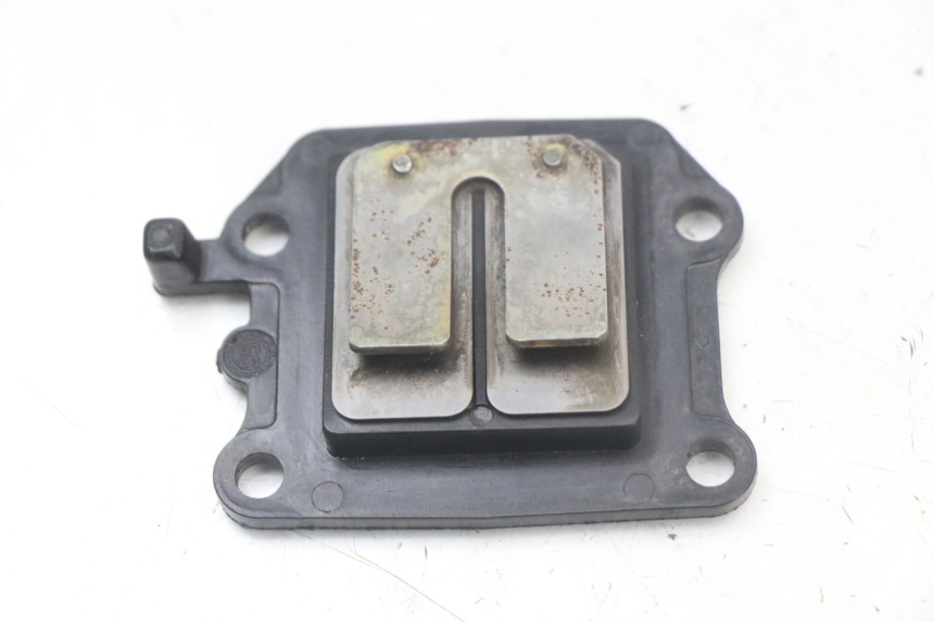 photo de VALVOLA LAMELLARE YAMAHA BW'S NG NEXT GENERATION 50 (1996 - 2003) - Vista principale