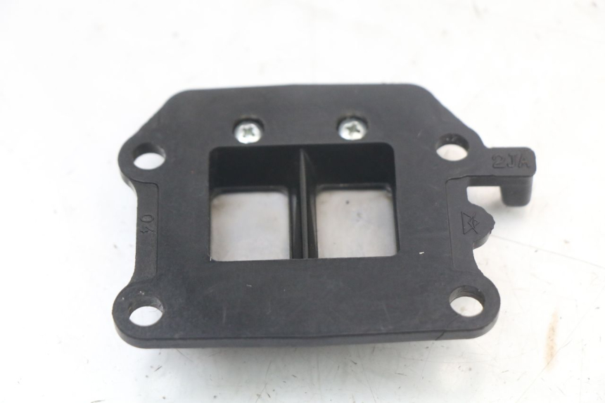 photo de VALVOLA LAMELLARE YAMAHA BW'S NG NEXT GENERATION 50 (1996 - 2003) - Altra angolazione