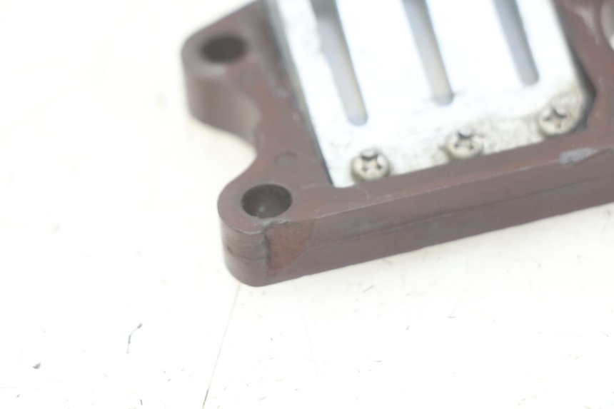 photo de VALVOLA A FARFALLA PEUGEOT ZENITH 50 (1994 - 1999) - Primo piano tecnico