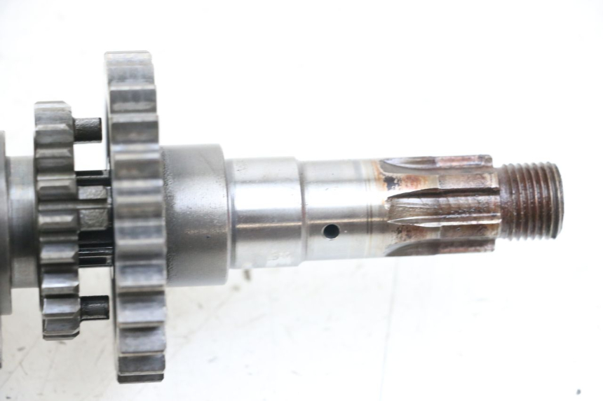 photo de SCATOLA DEL CAMBIO HYOSUNG GV AQUILA 125 (2000 - 2009) - Primo piano tecnico