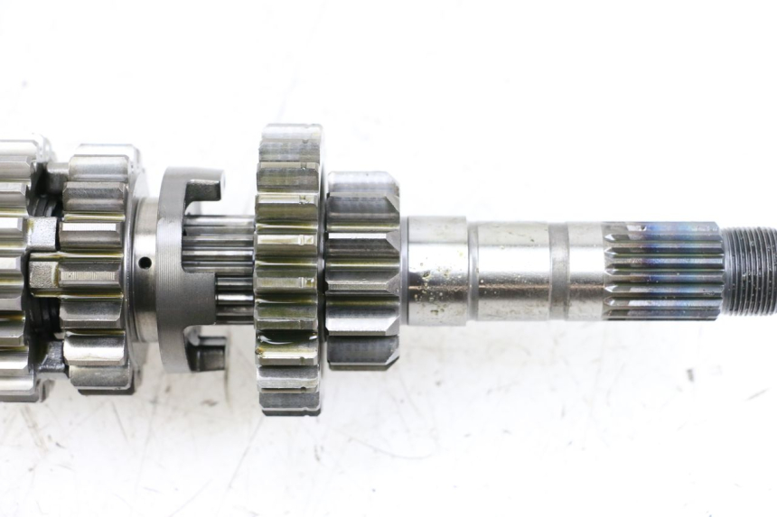 photo de CAMBIO HONDA CRF R 250 (2020 - 2021) - Focus sulla struttura