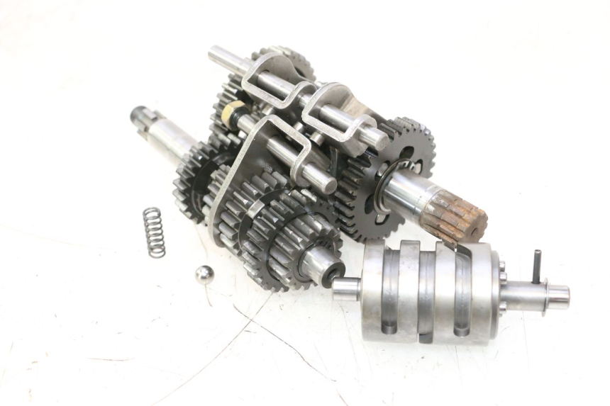 photo de CAMBIO HM HONDA DERAPAGE 50 (2007 - 2009) - Dettaglio del componente