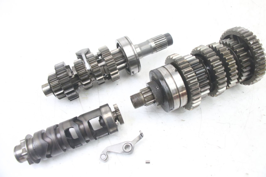 photo de CAMBIO SUZUKI GSF S BANDIT 600 (2000 - 2004) - Caratteristiche distintive