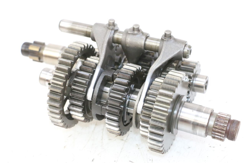 photo de CAMBIO YAMAHA YFM R RAPTOR 250 (2008 - 2014) - Vista principale