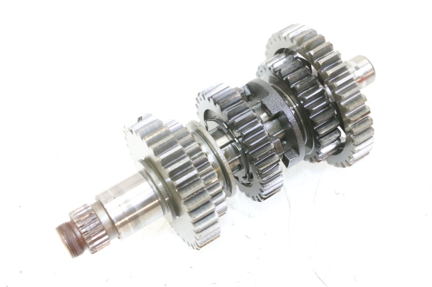 photo de CAMBIO YAMAHA YFM R RAPTOR 250 (2008 - 2014) - Caratteristiche distintive