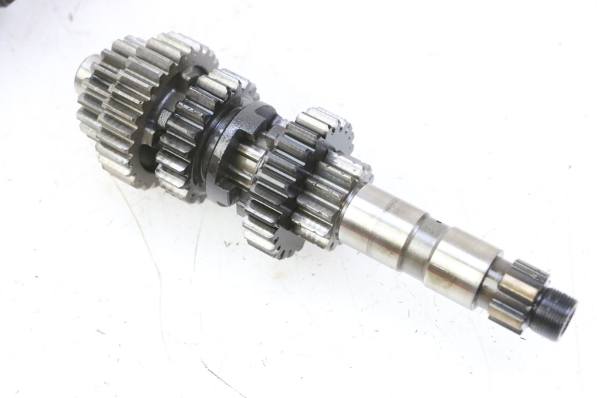 photo de CAMBIO YAMAHA YFM R RAPTOR 250 (2008 - 2014) - Angolazione alternativa