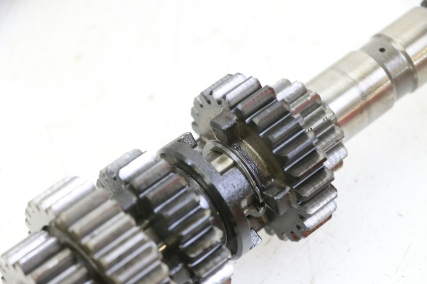 photo de CAMBIO YAMAHA YFM R RAPTOR 250 (2008 - 2014) - Panoramica del profilo