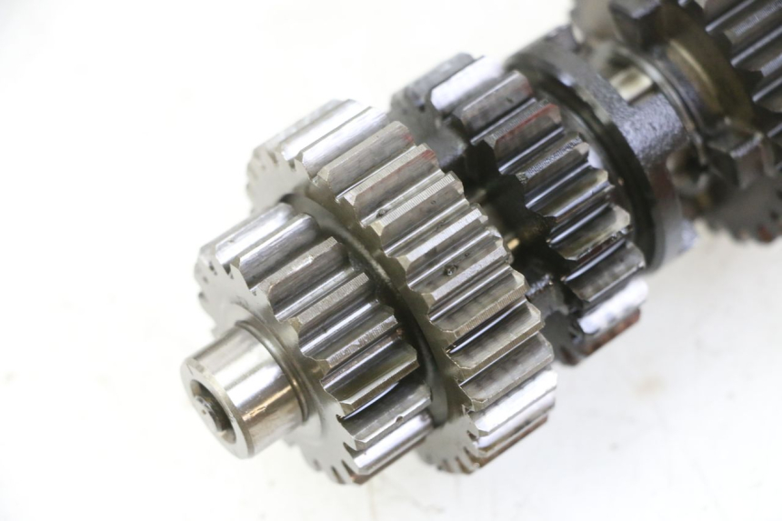 photo de CAMBIO YAMAHA YFM R RAPTOR 250 (2008 - 2014) - Vista principale