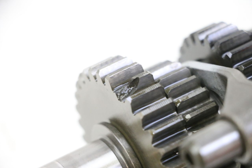 photo de CAMBIO YAMAHA YFM R RAPTOR 250 (2008 - 2014) - Primo piano tecnico