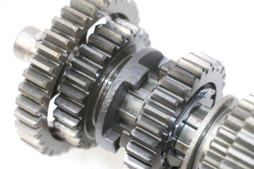 photo de CAMBIO YAMAHA YFM R RAPTOR 250 (2008 - 2014) - Altra angolazione