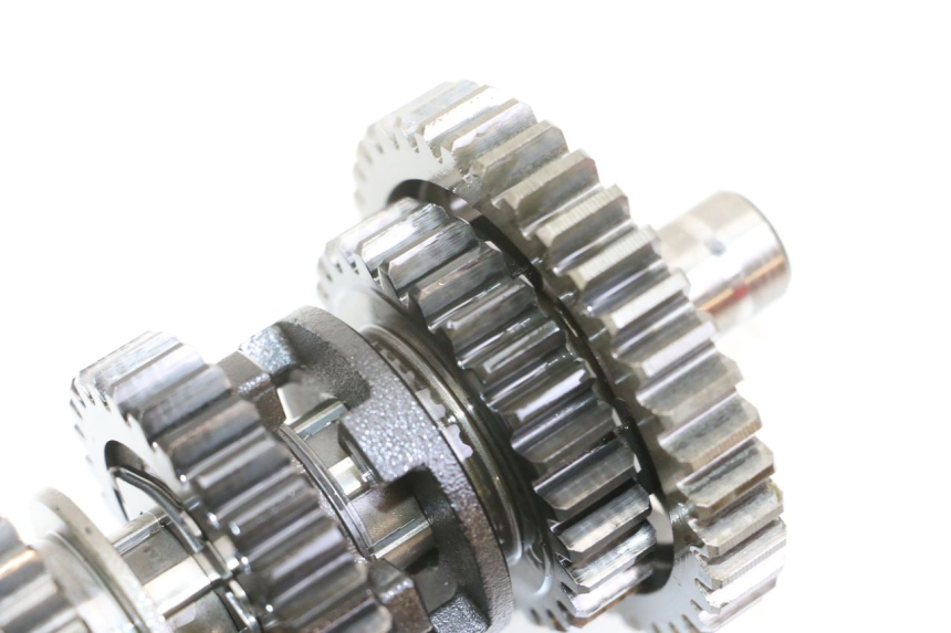 photo de CAMBIO YAMAHA YFM R RAPTOR 250 (2008 - 2014) - Marcature e riferimenti originali