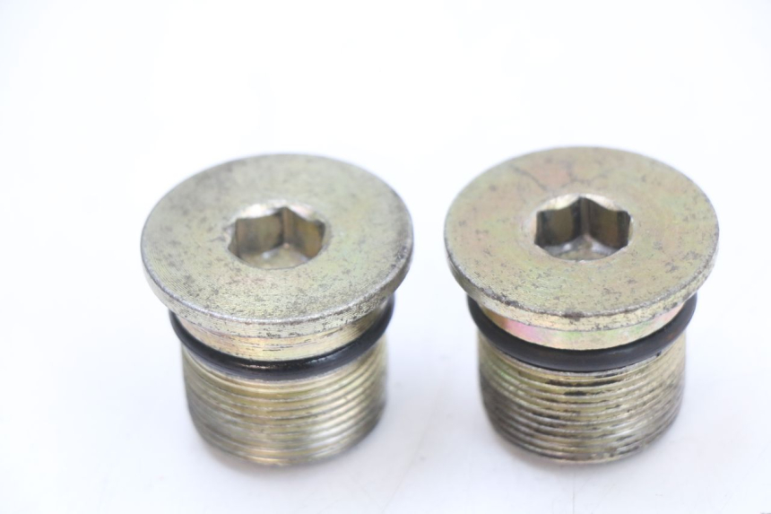 photo de TAPPO FORCELLA JONWAY AZTRAL 125 (2008 - 2017) - Vista principale