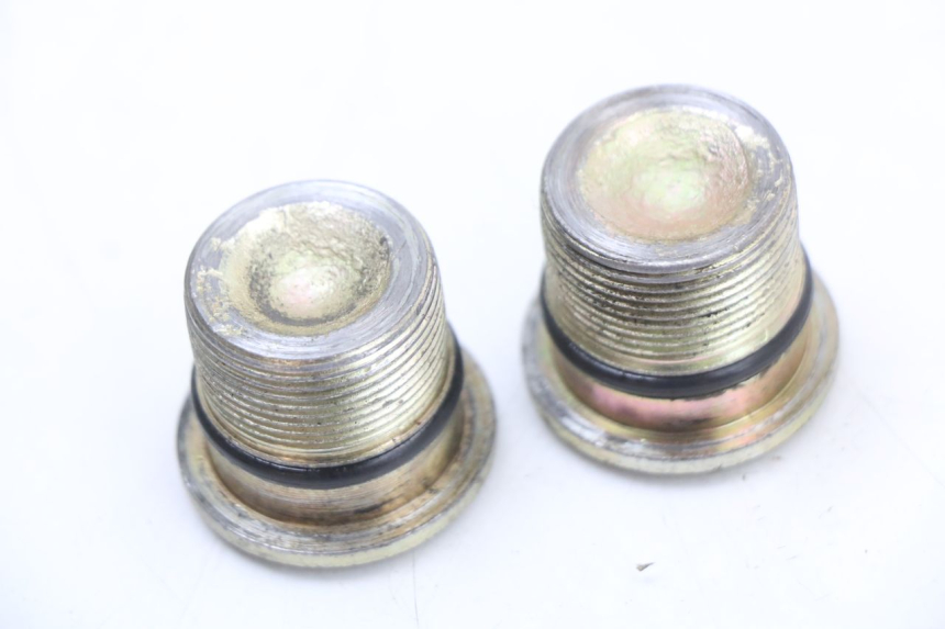 photo de TAPPO FORCELLA JONWAY AZTRAL 125 (2008 - 2017) - Altra angolazione