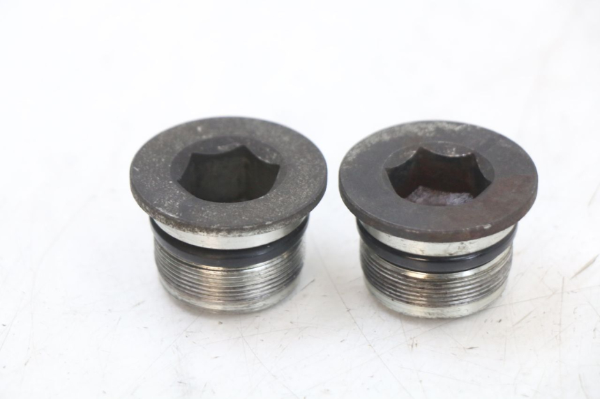 photo de TAPPO FORCELLA PIAGGIO X10 125 (2012 - 2017) - Vista principale