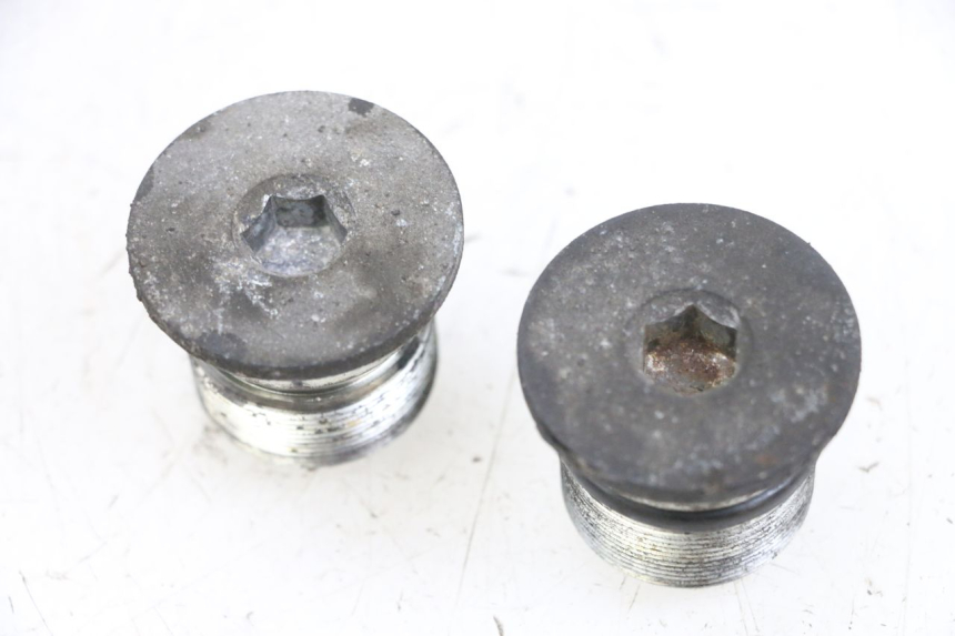 photo de TAPPO FORCELLA PIAGGIO X8 125 (2004 - 2007) - Vista principale