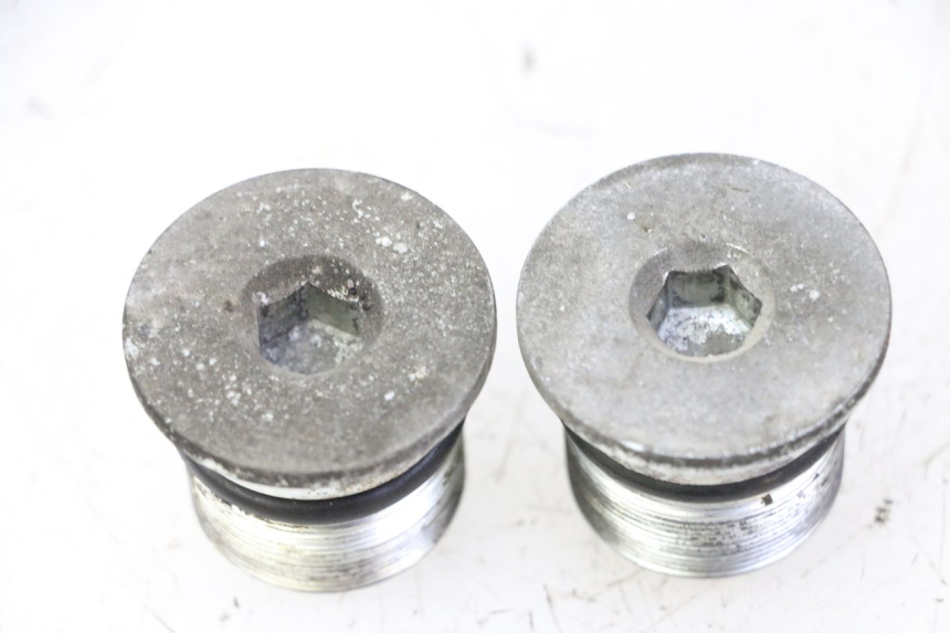 photo de TAPPO FORCELLA PIAGGIO X9 EVOLUTION 125 (2003 - 2007) - Vista principale