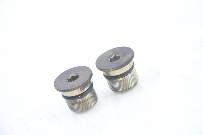 photo de TAPPO FORCELLA PIAGGIO X9 EVOLUTION 125 (2003 - 2007) - Vista principale