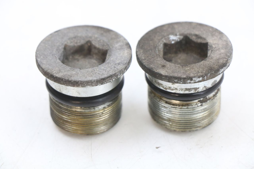 photo de TAPPO FORCELLA PIAGGIO X9 125 (2000 - 2003) - Vista principale