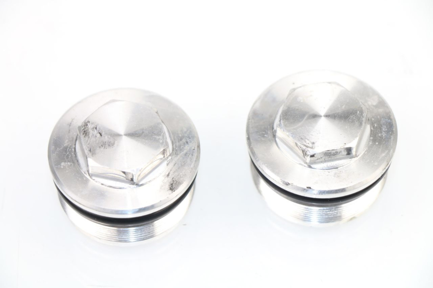 photo de TAPPO FORCELLA KAWASAKI Z 650 (2016 - 2019) - Vista principale