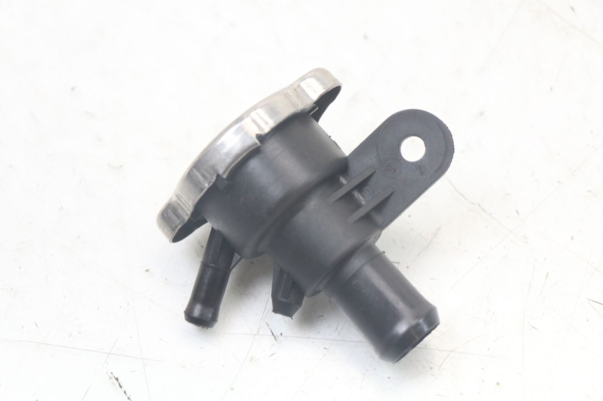 photo de TAPPO DEL RADIATORE QUADRO 3D S 350 (2013 - 2018) - Primo piano tecnico