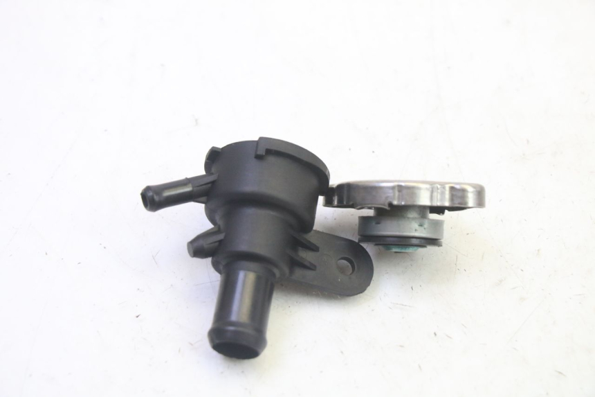 photo de TAPPO RADIATORE QUADRO 4 4D 350 (2015 - 2018) - Dettaglio del componente