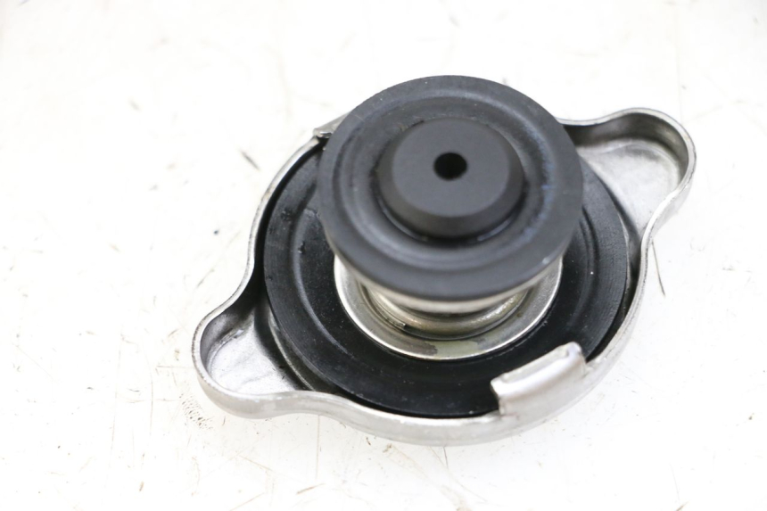 photo de RADIATORE BMW S RR ABS S1000RR 1000 (2015 - 2018) - Altra angolazione