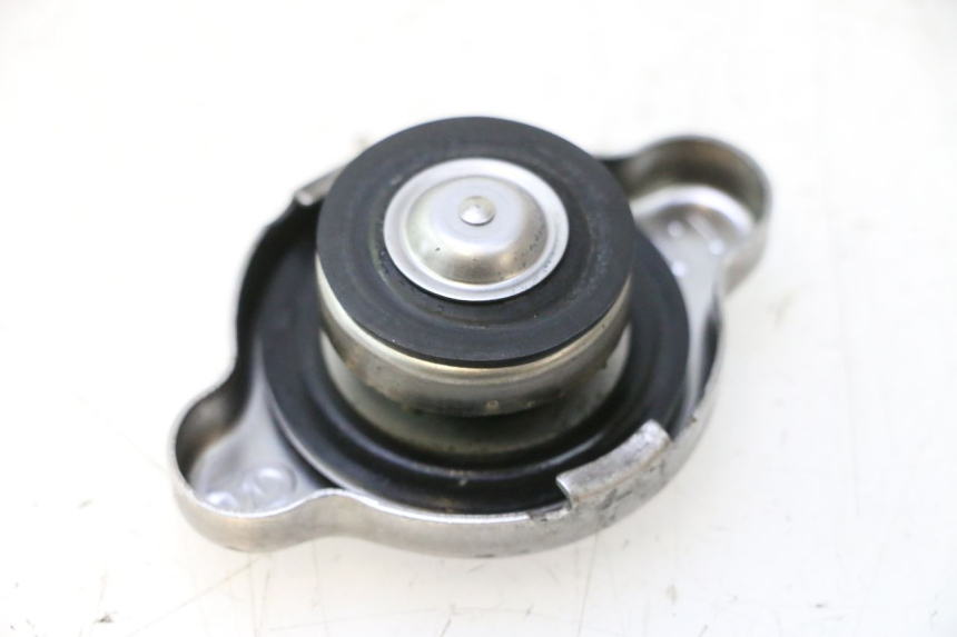 photo de RADIATORE SUZUKI BURGMAN EXECUTIVE ABS 650 (2006 - 2012) - Dettaglio del componente
