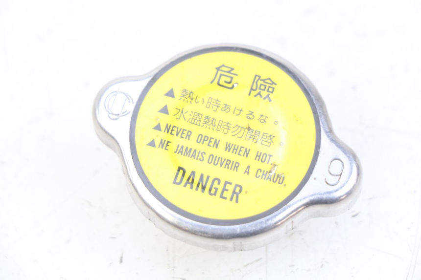 photo de TAPPO DEL RADIATORE KYMCO DINK STREET 125 (2009 - 2014) - Vista principale