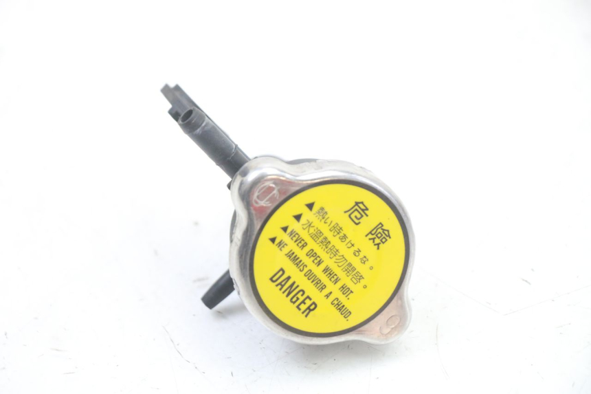 photo de RADIATORE KYMCO GRAND DINK 125 (2008 - 2014) - Zoom sullo stato d'uso